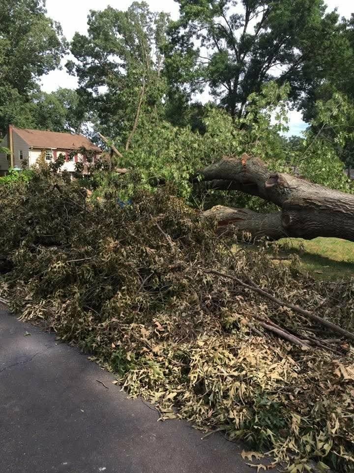 Storm cleanup with a fallen tree cleared from a property