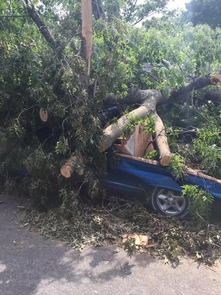 Emergency tree removal after a large tree fell on a truck
