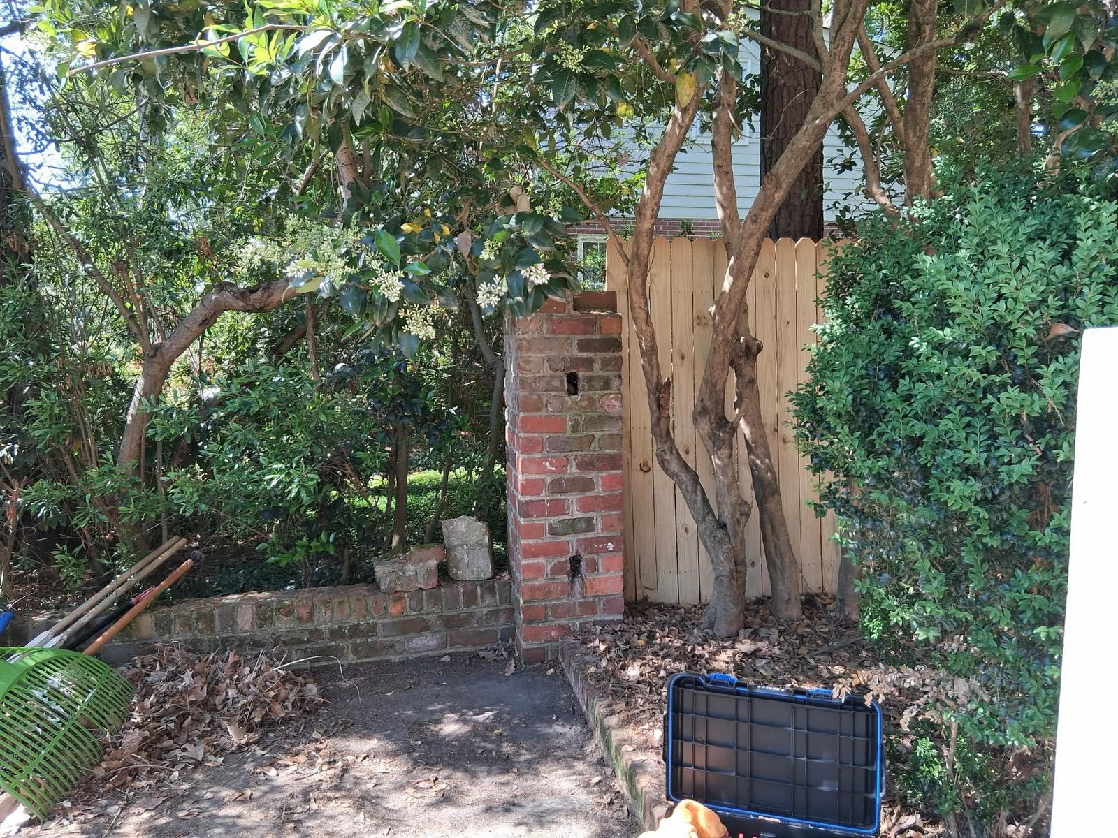 Finished gate area after tree and brush work